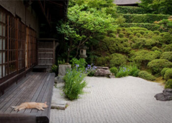 Thiet ke san vuon phong cach Nhat Ban