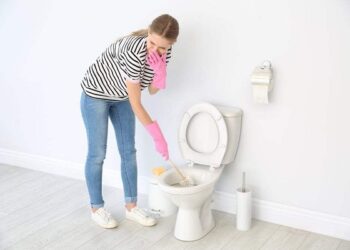 Cach ve sinh bon cau